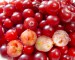 Cranberries3.jpg